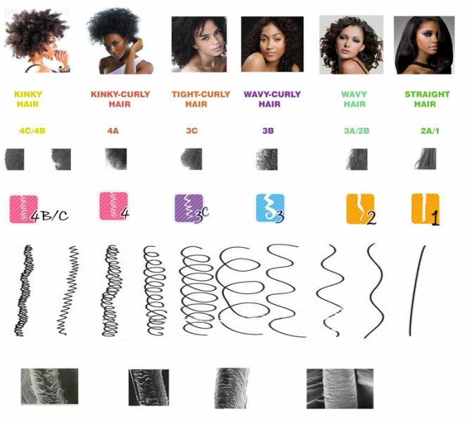 Types Natural Hair